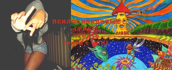 тгк Карталы